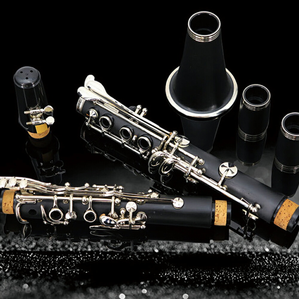 楽天市場】＼ 楽天1位 ／ クラリネット リード 付 ケース 10リード