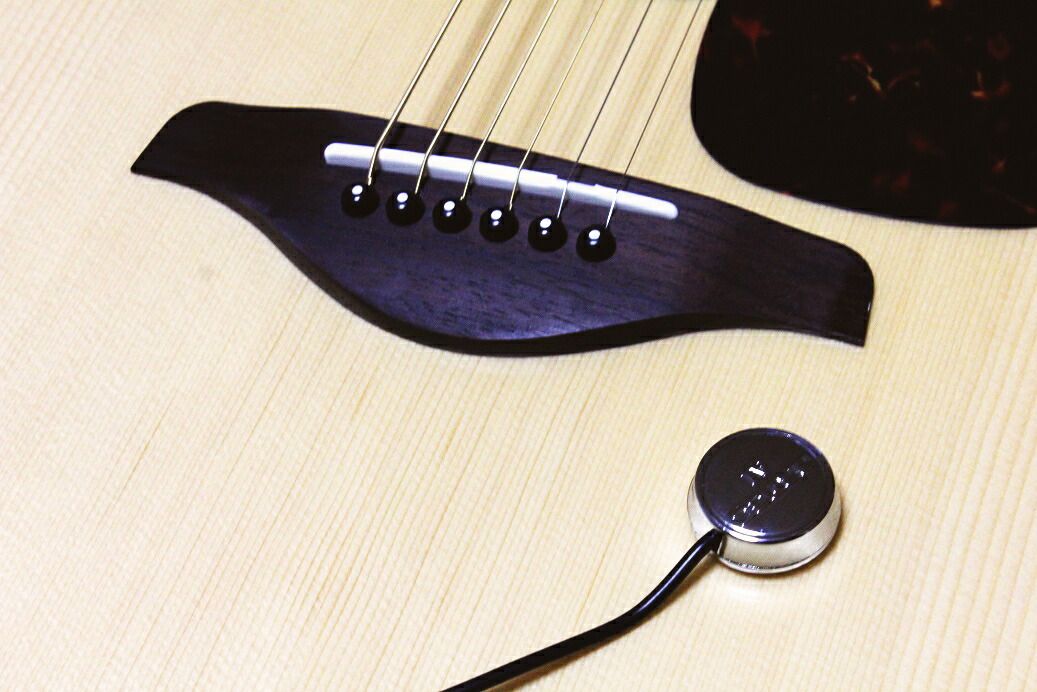 楽天市場】bodyrez acoustic pickup enhancerの通販