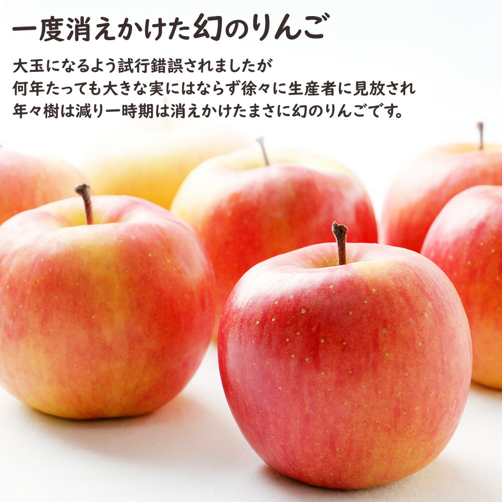 楽天市場】【出荷中】ケース 箱売り 青森県産 りんご こみつりんご