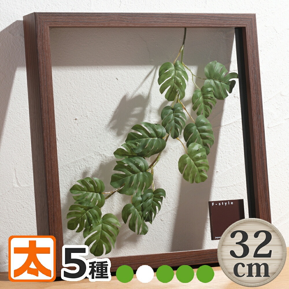 f33-leaf-m1-th-r.jpg