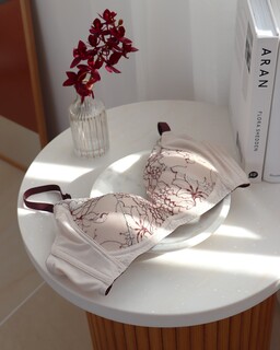 AMO'S STYLE by Triumph (ladies underwear)｜Mito Station bldg