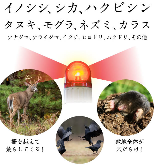 害獣・害鳥忌避剤 撃退パンチ | 天然ヒトデの成分で安心・安全｜株式