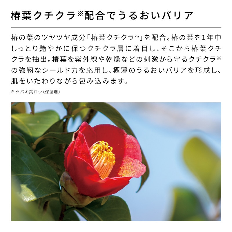 リファビューテックボディウォッシュ（うるおう肌へ） | スキンケア