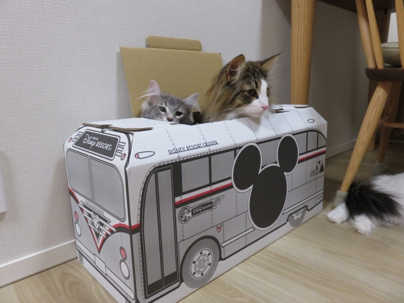 TDR】ディズニーイースター2017☆うさたま⑤ディズニーリゾート