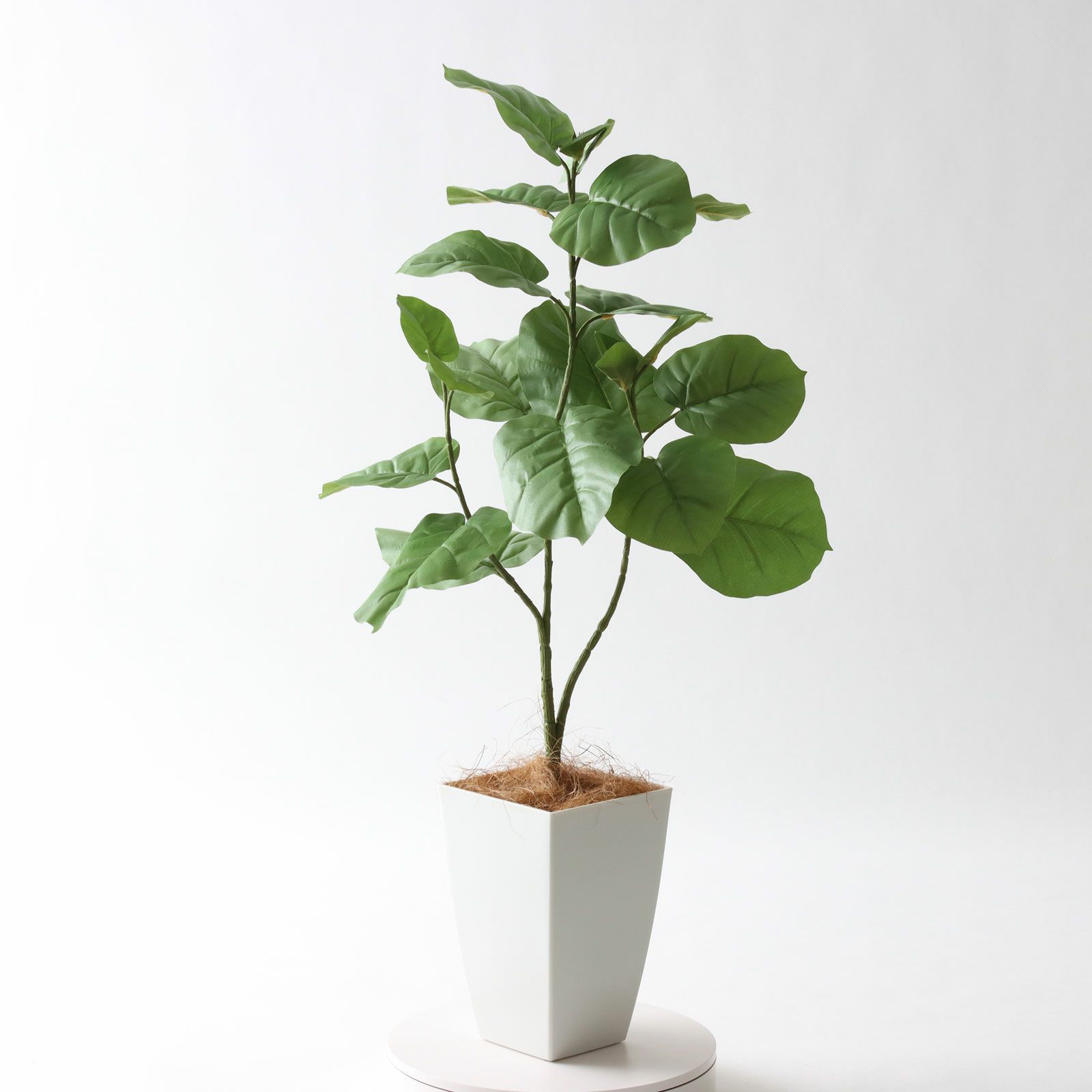 No92106 プレミアム光触媒フェイクグリーン 「ゆるやかな枝ぶり × 個性