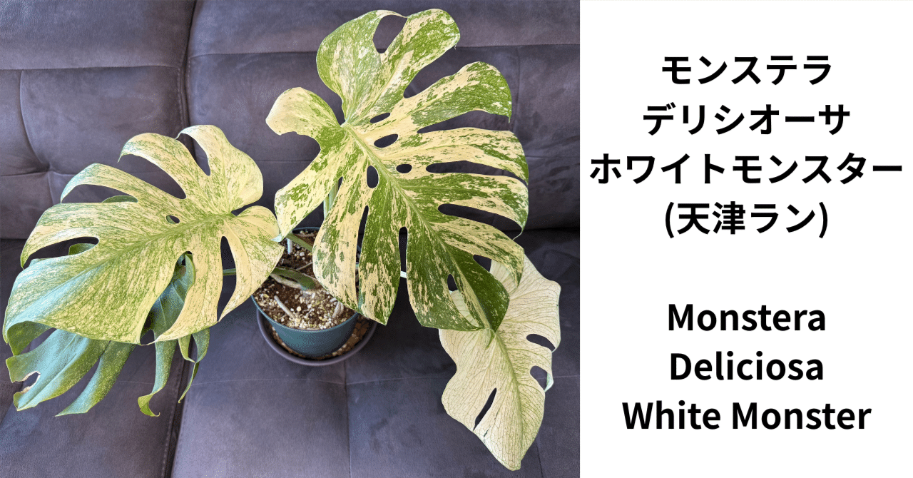 14f22cb1c38a38d67b64e0c88b6671