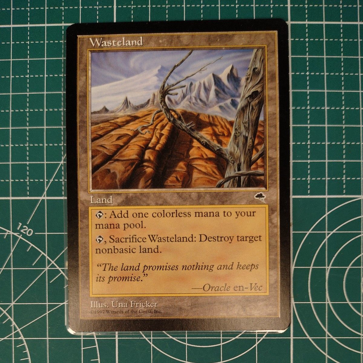 不毛の大地 Wasteland MTG 日本語 TMP｜Yahoo!フリマ（旧PayPayフリマ）