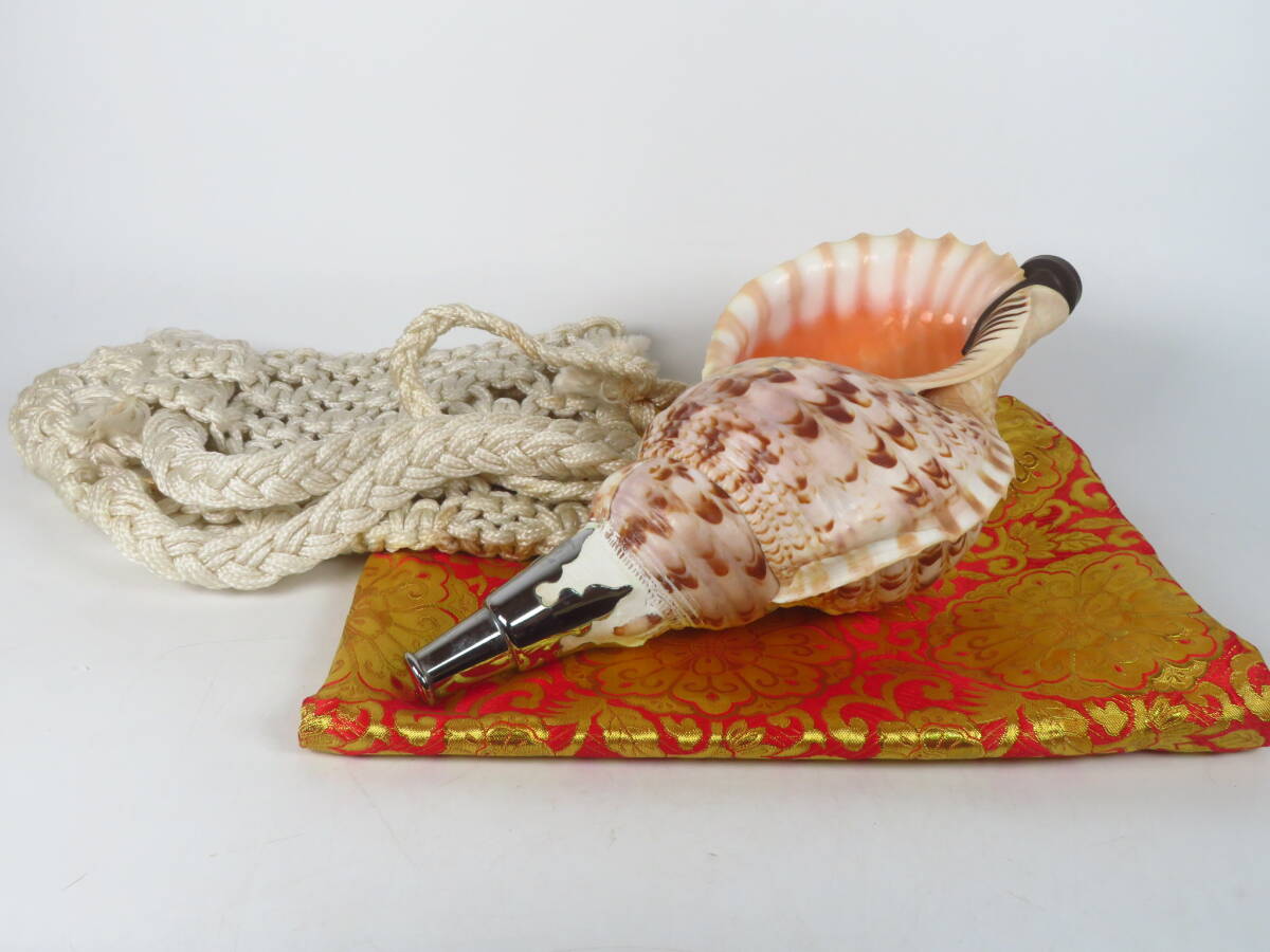 2026年最新】Yahoo!オークション -山伏 法螺貝の中古品・新品・未使用