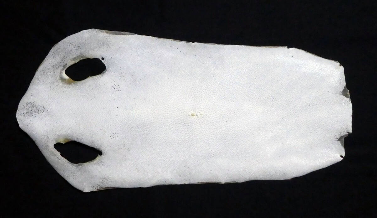 Yahoo!オークション -「鮫革エイ革」の落札相場・落札価格