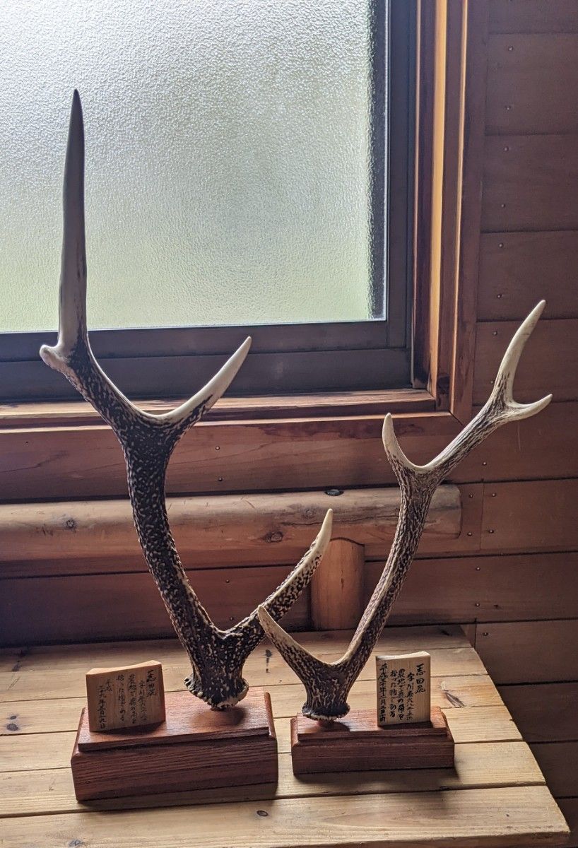 鹿の角ハンドメイド2点 飾り台付き｜Yahoo!フリマ（旧PayPayフリマ）
