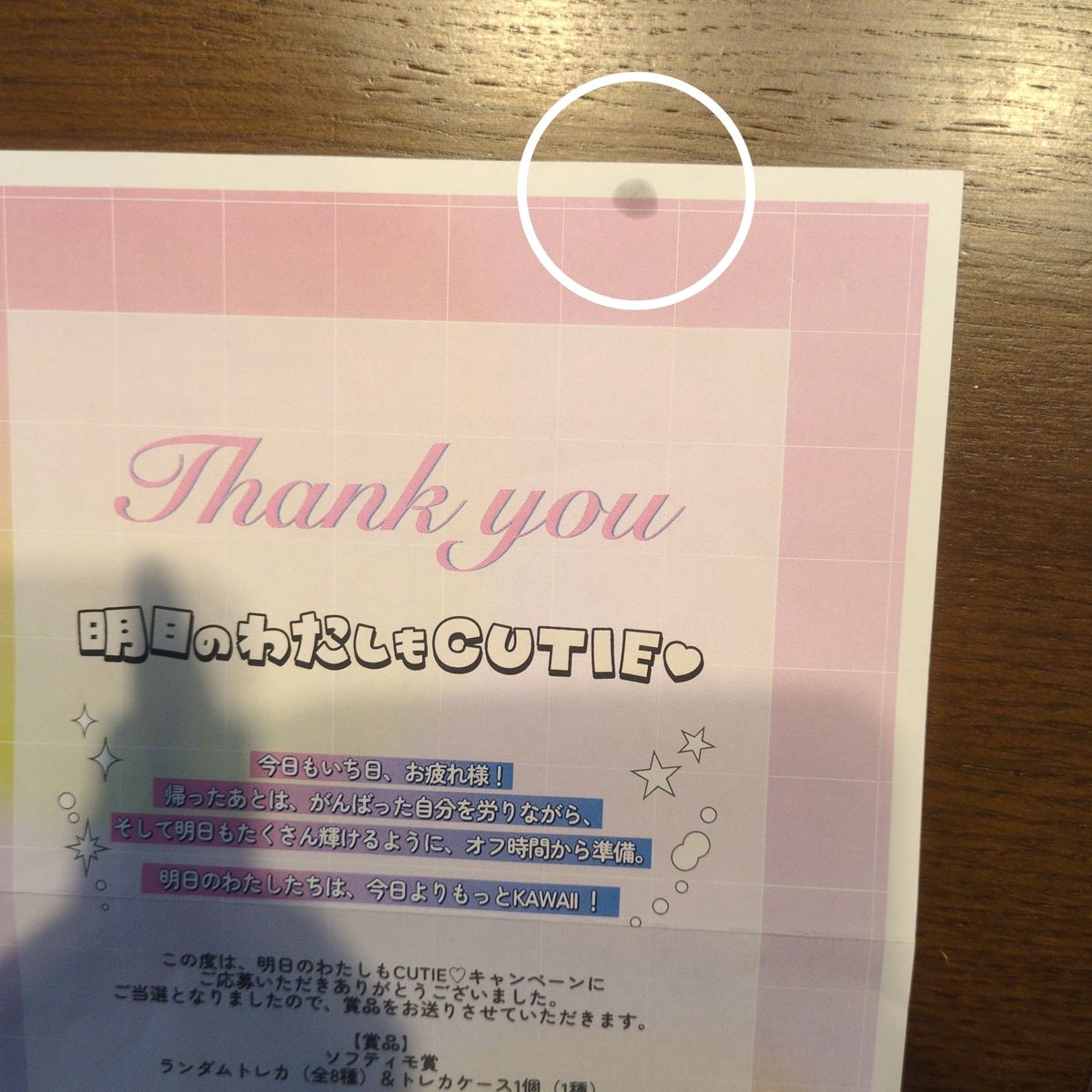 クリアターン ソフティモ ランダムトレカ トレカケース 桜庭遥花 当選