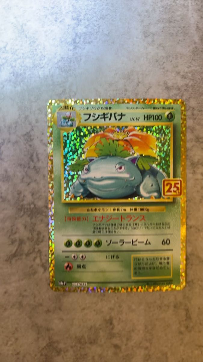 ポケモンカード マグマ団のグラードン 25周年 プロモ PSA10 25th S8a-P