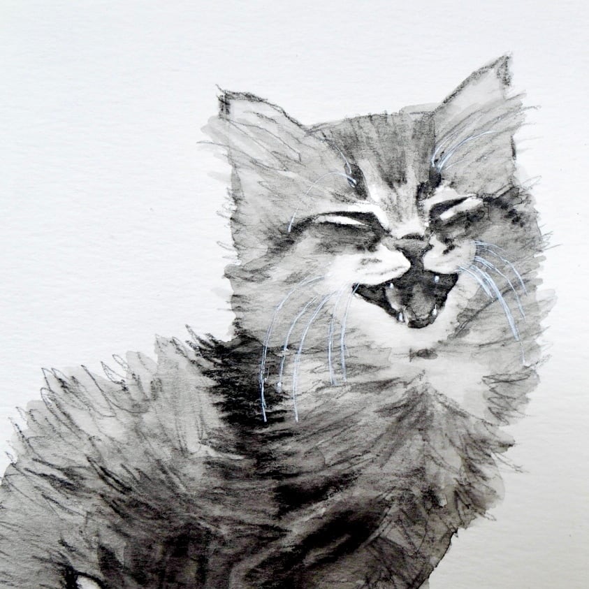 猫の絵 191 鉛筆画 原画 | Forest cat