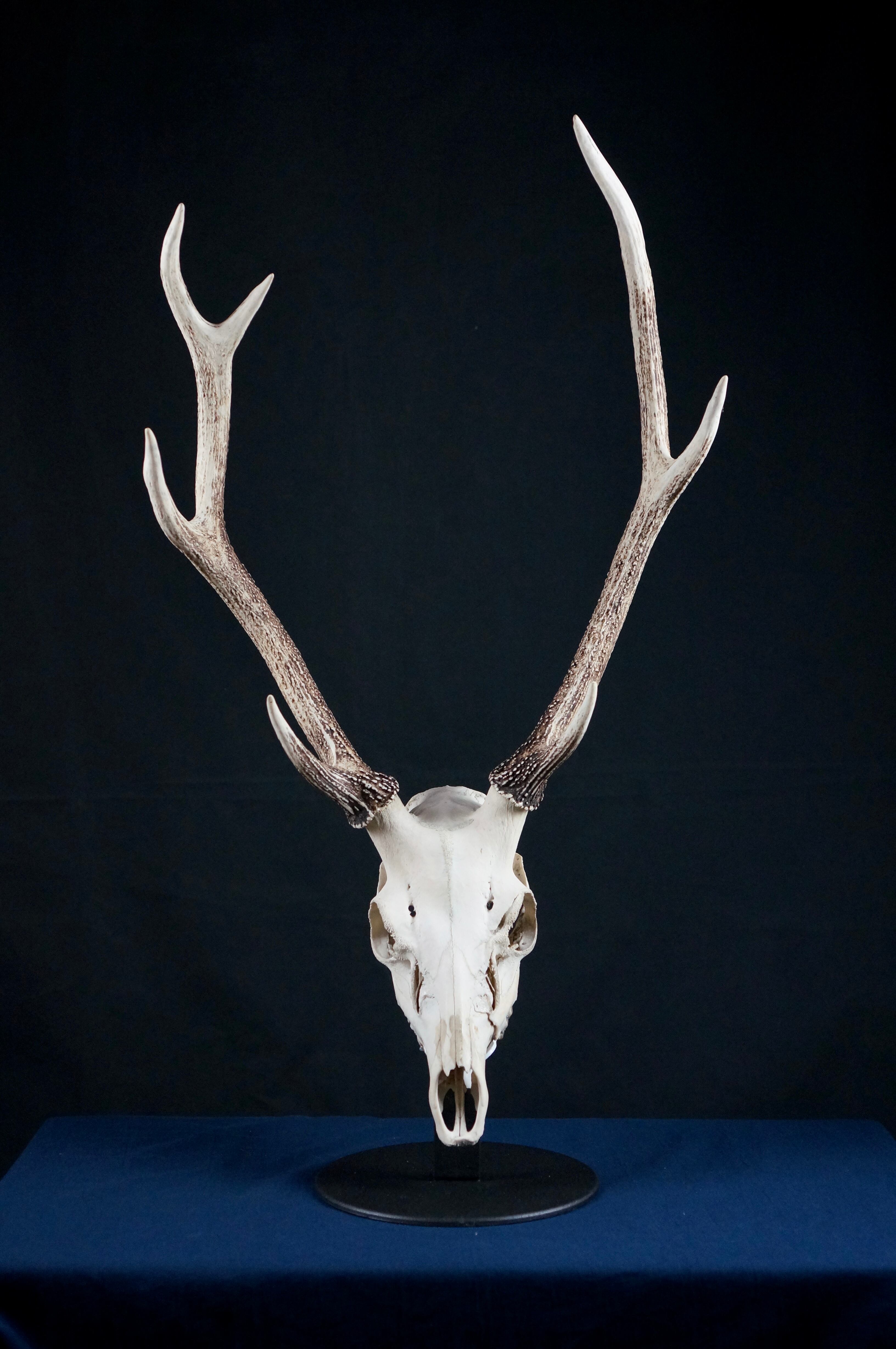 c2d6fd3d1f06f34a279eb6c1f35ac5