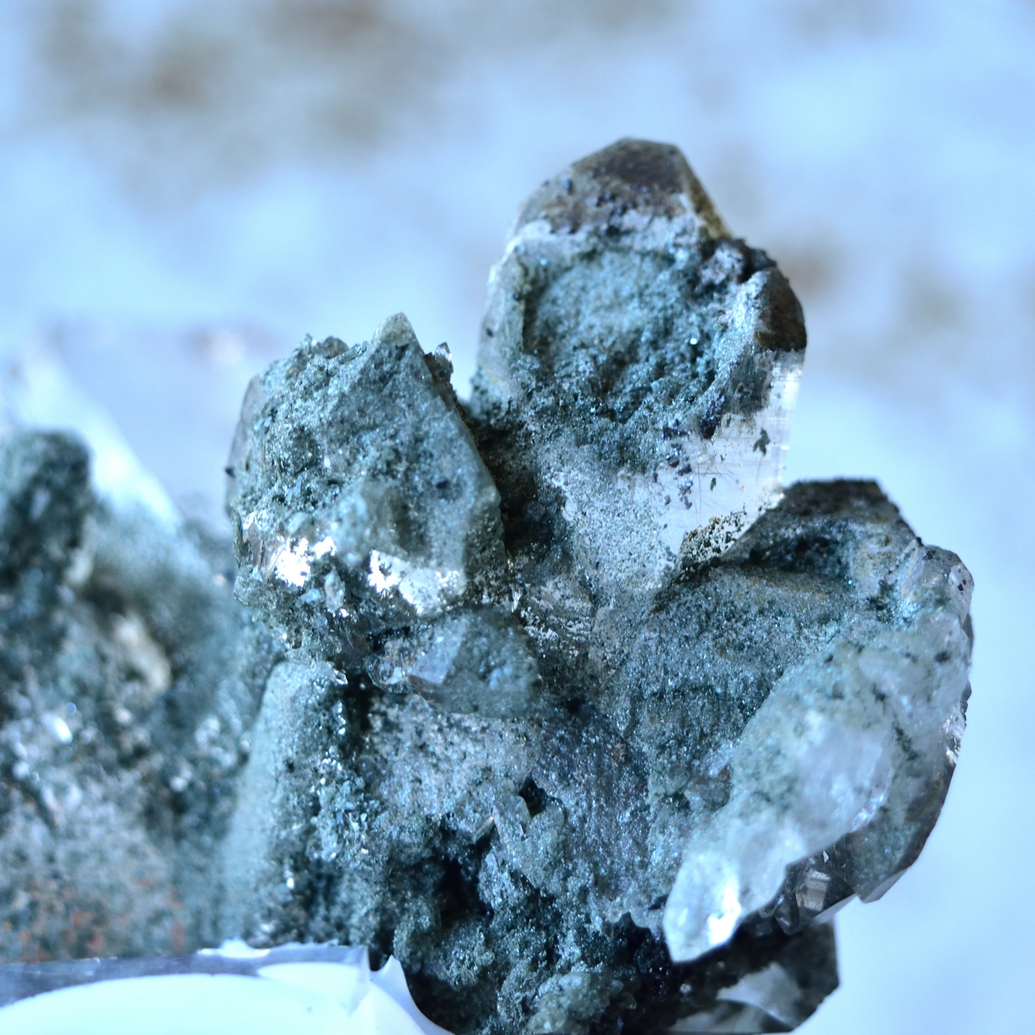 ヒマラヤ水晶 ルチル クローライト 「大物主大神」 インド・マニハール