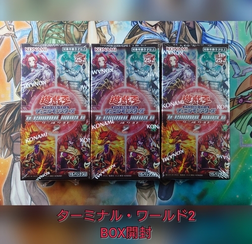 ターミナル・ワールド2/TERMINAL WORLD2】の開封結果・封入率を紹介