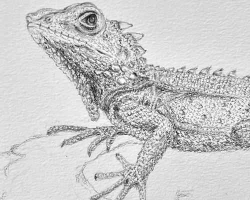 93e0f9fe5d28485468a16d90cb01d9