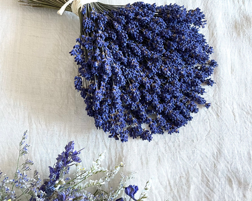 1_015ccfecea5ed3529bce4f29fea2