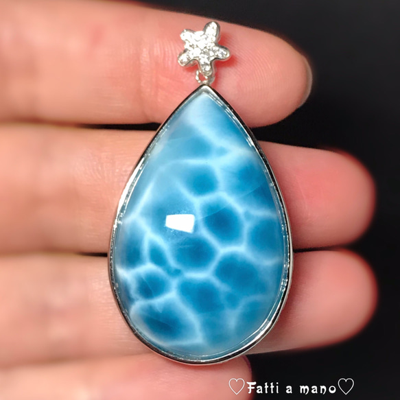 イギリス発送 トップグレード ハッキリしてる亀の甲羅模様 Bigラリマー