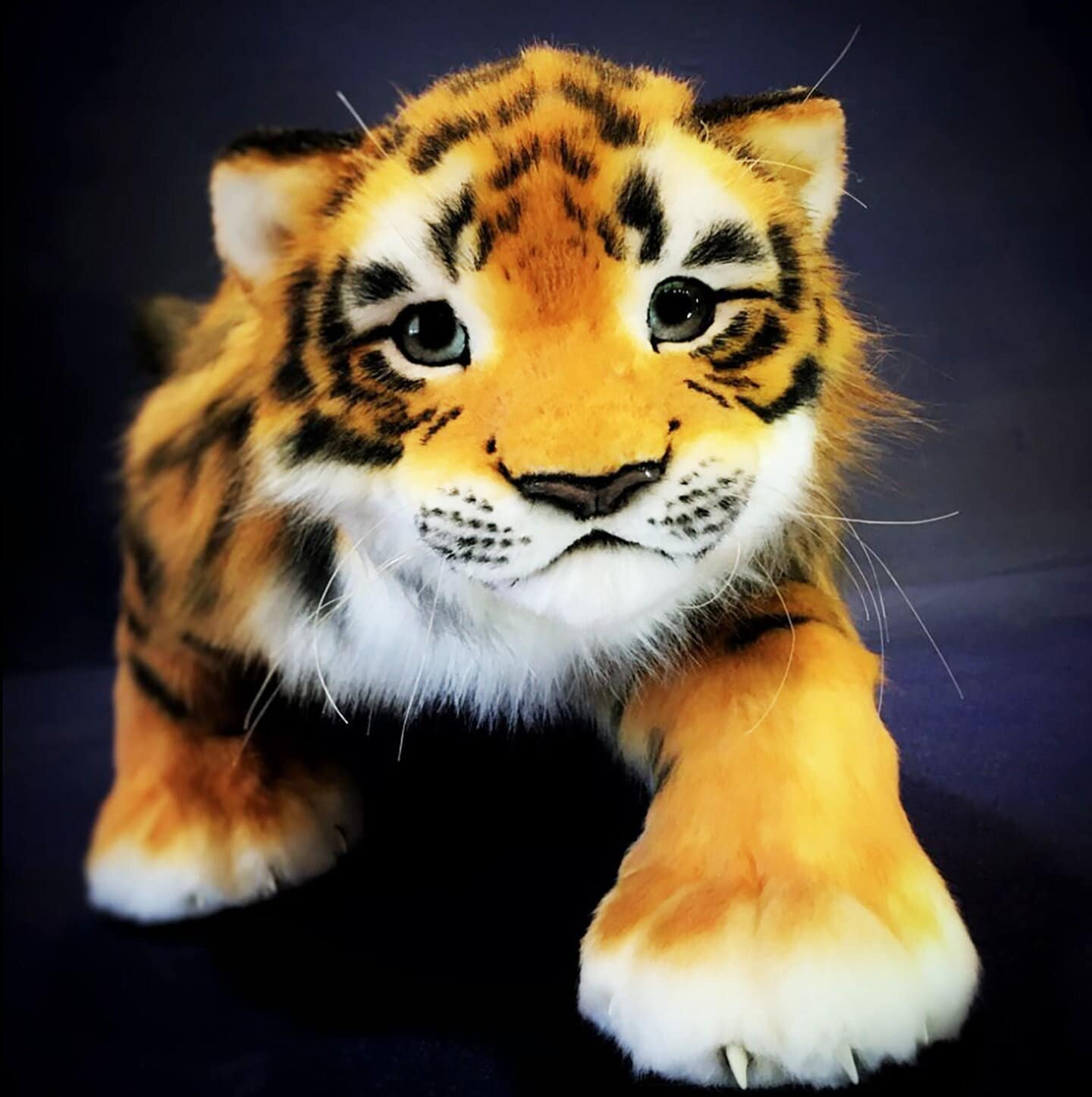 BIG TIGER ぬいぐるみ オーダーメイド ぬいぐるみ トラ 3D リアルな