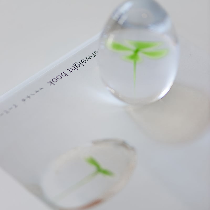 ガラスとヒカリ | iino naho glass gallery