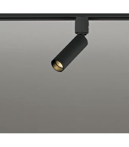 Amazon.co.jp: オーデリック スポットライト 【OS256551R】【OS 256