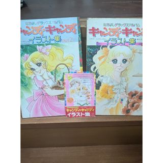 らんま1/2 複製原画 キャラファイングラフ a5サイズの通販 by プーさん