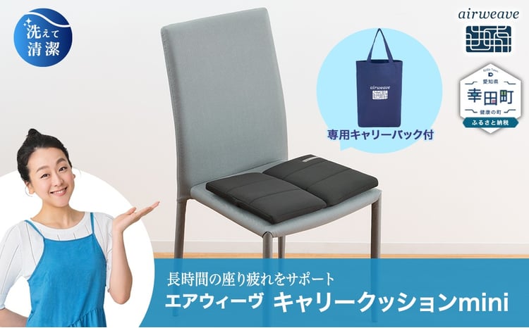 エアウィーヴ キャリークッションmini 〈TBS「ひるおび」で紹介の人気