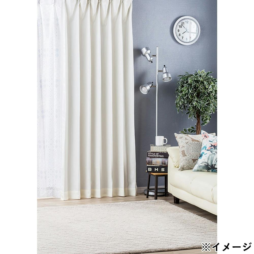 裏地付きカーテン バーチ ホワイト 100×110cm 2枚組 | カーテン