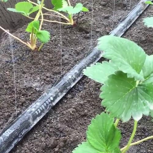 住化農業資材 灌水チューブ ネオドリップウエシタ02L WB9004 200M × 3