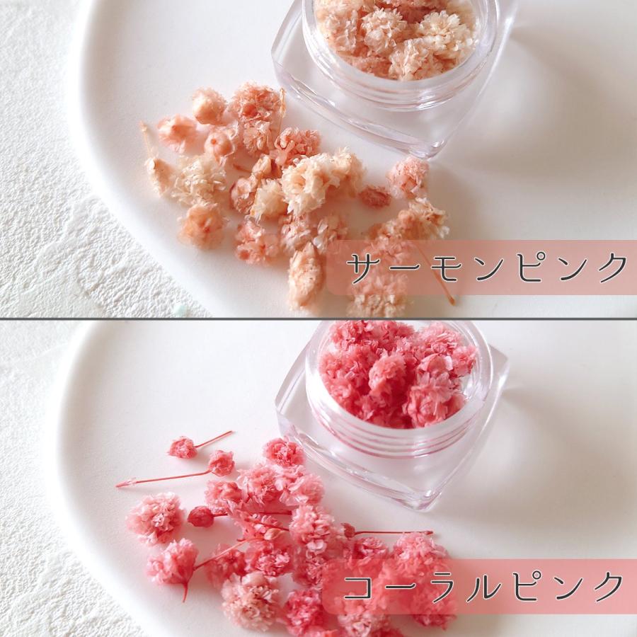 ドライフラワー カスミソウMIX かすみ草 かすみそう レジン封入素材
