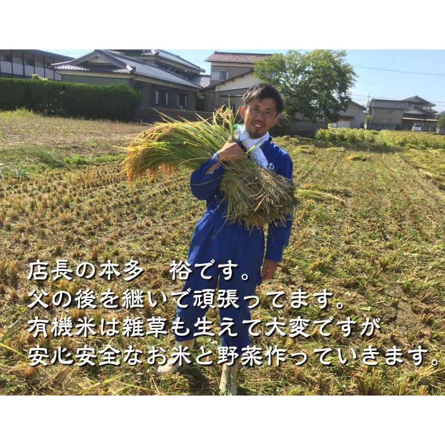 無農薬、有機栽培稲わら 無選別カット 500g 10cm前後に細かく