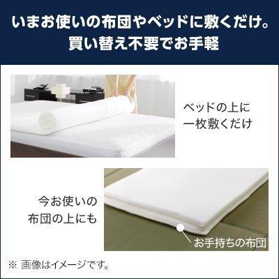 トゥルースリーパー（True Sleeper） 2/25 17:00まで ショップジャパン