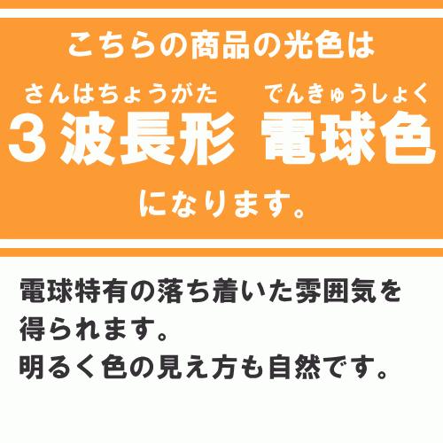 Panasonic（パナソニック） FDL18EX-LF3 コンパクト蛍光灯 3波長形