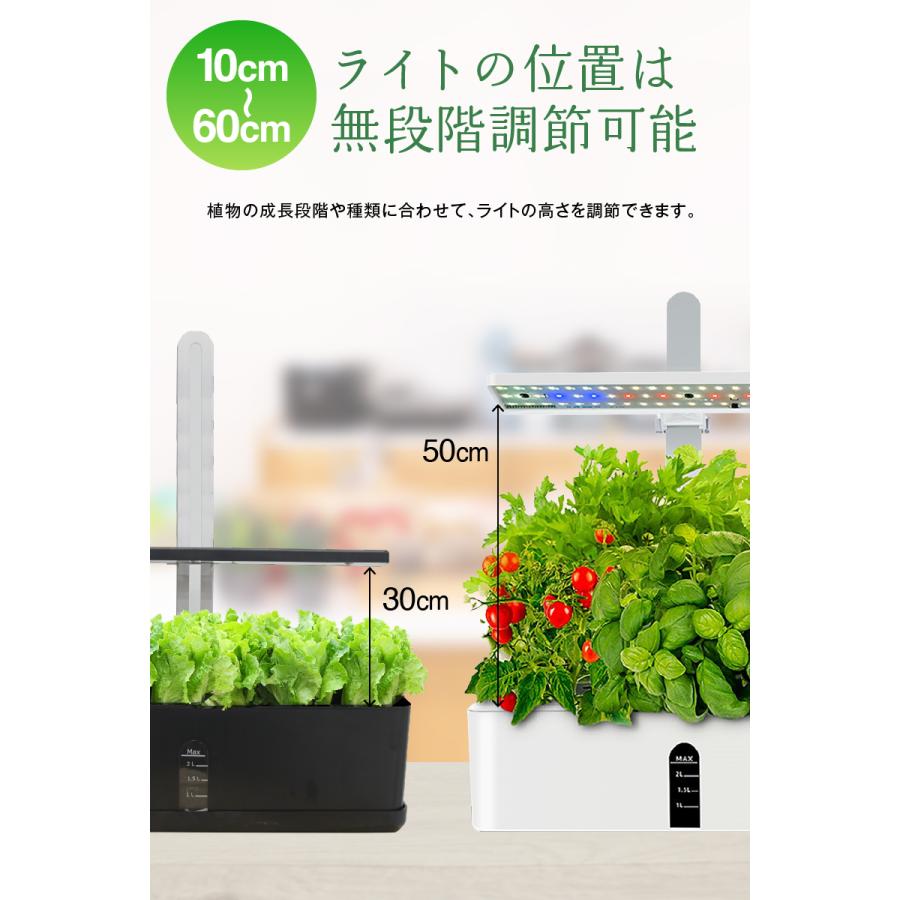 水耕栽培 キット セット 家庭菜園 プランター栽培 育苗 水耕栽培キット