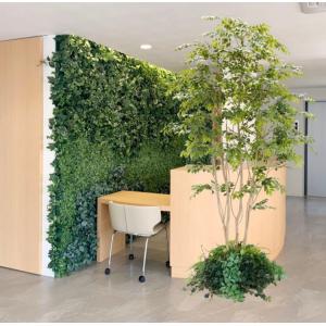 大型サイズ 自然な形 けやき の木 高さ360cm 鉢付き(造花 人工観葉植物