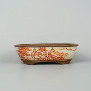 盆栽小鉢：春嘉（はるよし） 丸鉢13cm*現品 1品限り 資材 : 遊恵盆栽