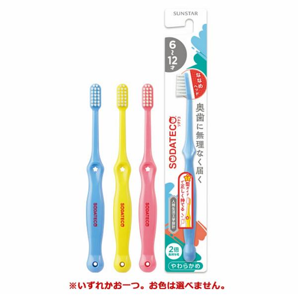SUNSTAR（サンスター） 【ゆうパケット配送対象】[サンスター]ソダテコ