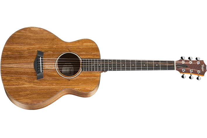 900 Series アコースティックギター | Taylor Guitars