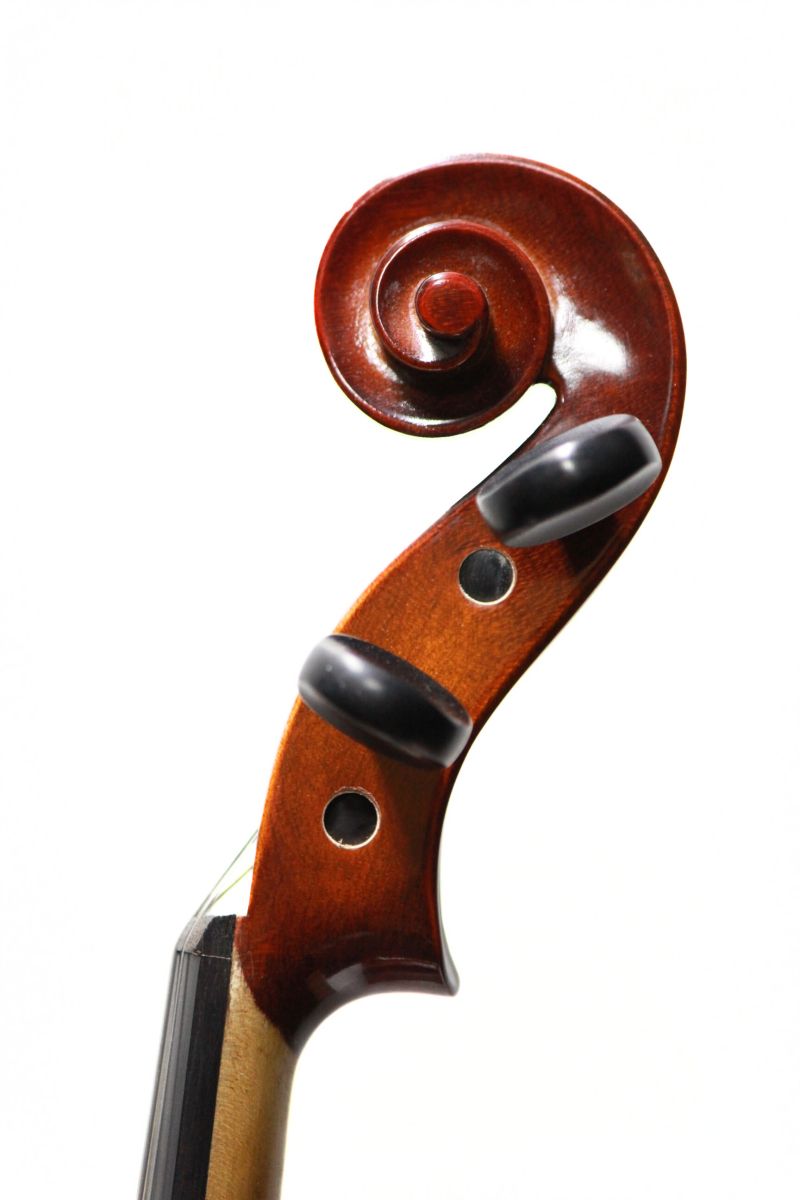 Reghin 1/2サイズ | 【クロサワ楽器店オンラインショップ】いい楽器と