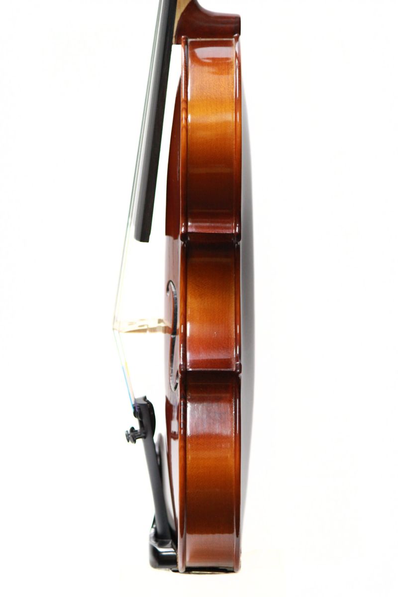 Reghin 1/2サイズ | 【クロサワ楽器店オンラインショップ】いい楽器と