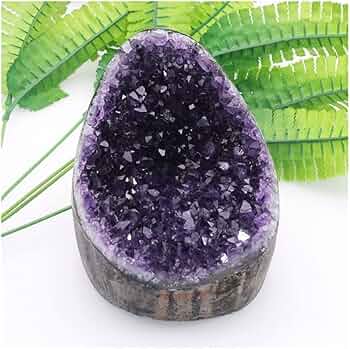 61pQxCV8V2L._AC_UF350,