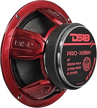 Amazon.com: DS18 PRO-X8BM Loudspeaker - 8