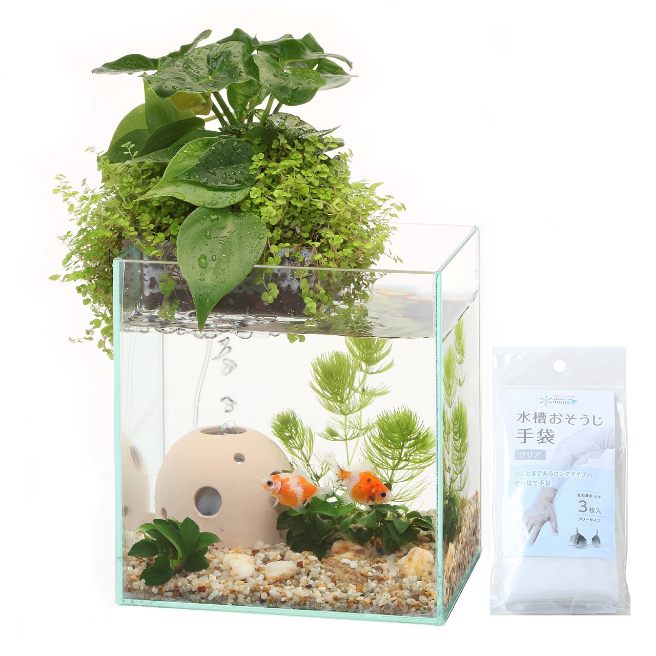 Amazon | アクアテリア N160 金魚用（ガラス水槽と水耕栽培プランター