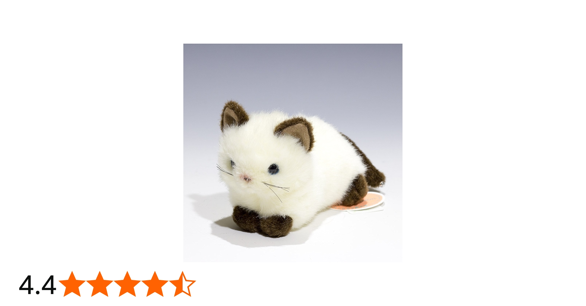 71lc8eKXjfL.jpg_BO30,255,255,