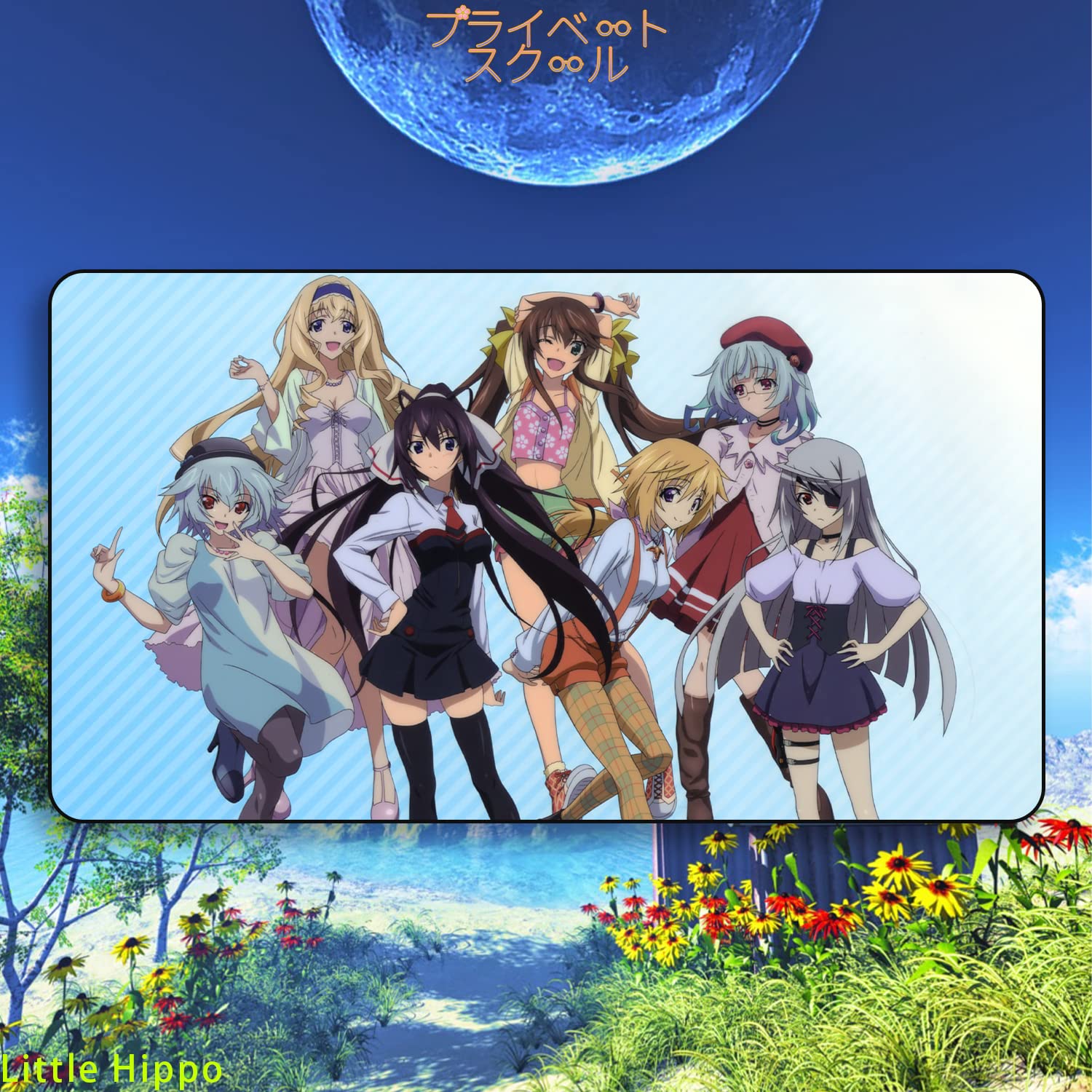 Amazon | プライベートスクール IS〈インフィニット?ストラトス〉 IS