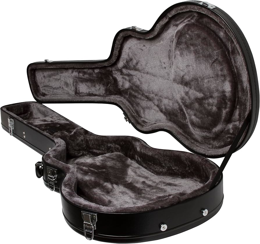 Amazon.com: Epiphone Case for Epiphone Dot, Sheraton, 335
