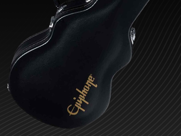 Amazon.com: Epiphone Case for Epiphone Les Paul Standard & Custom