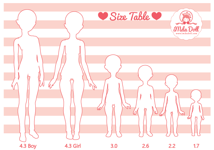 iMda Doll size (サイズ情報) iMda Doll Guide - iMda Doll (イムダドール)