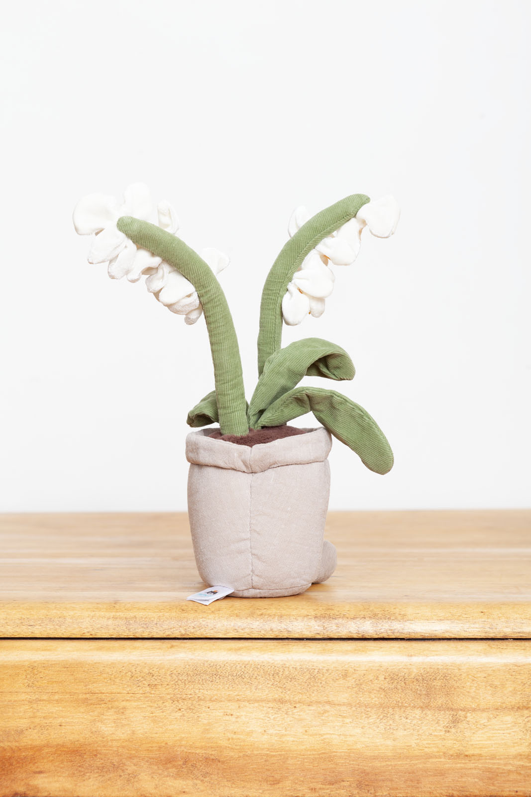 Jellycat Amuseable (white) Orchid – Ms Rudolph's